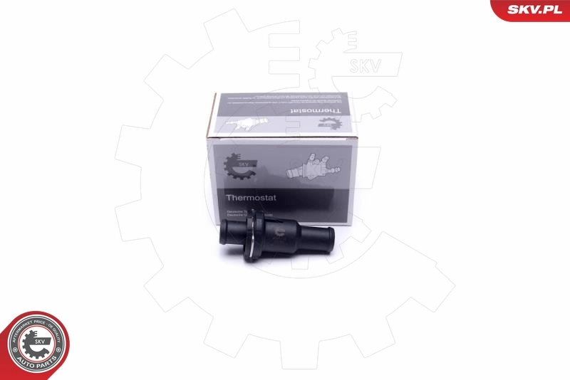 Thermostat, coolant